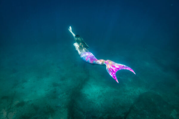 Mermaid Performer Gift Card - Image 3